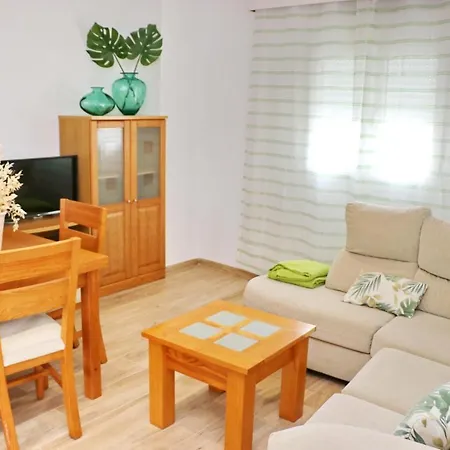 Geranio Rosa Conil de la Frontera