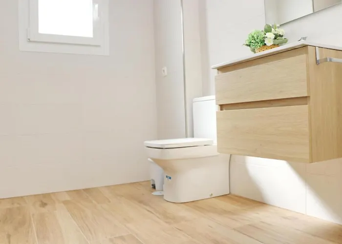 Geranio Rosa Conil De La Frontera