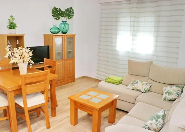 Geranio Rosa Conil De La Frontera